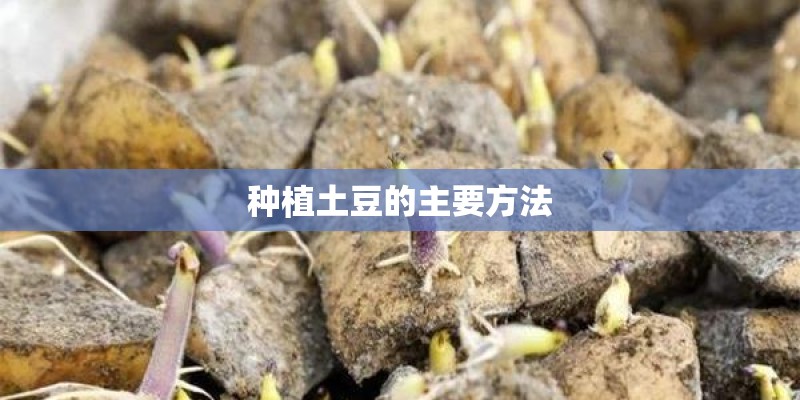 种植土豆的主要方法