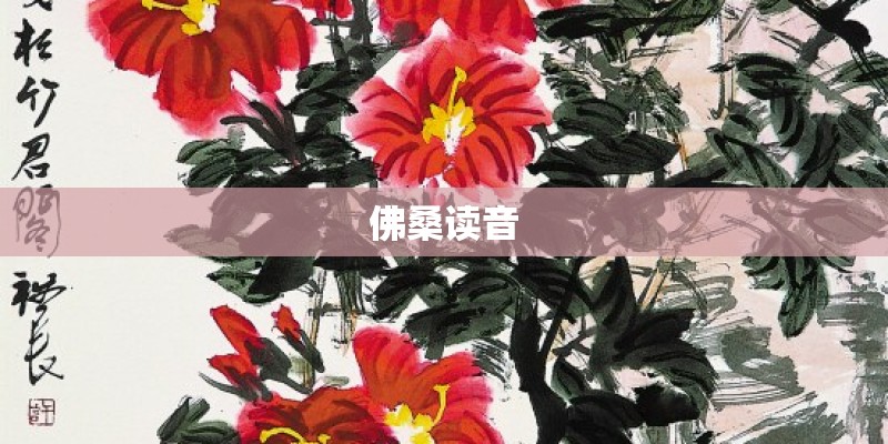 佛桑读音