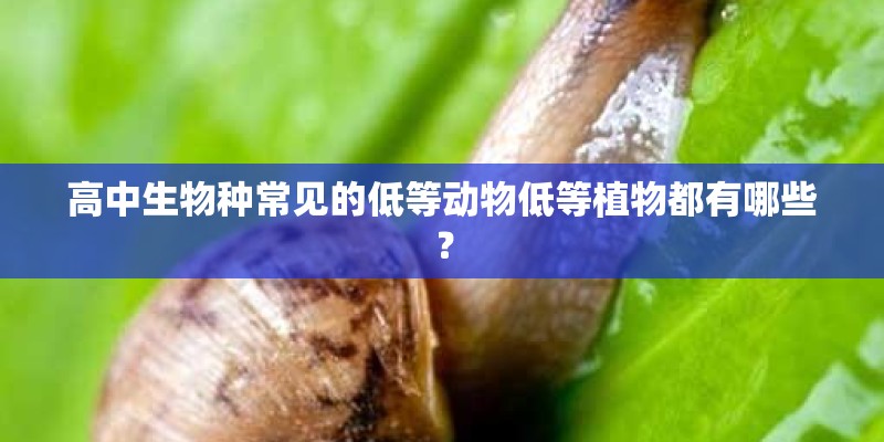 高中生物种常见的低等动物低等植物都有哪些？