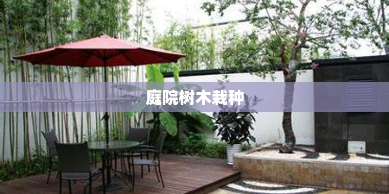 庭院树木栽种