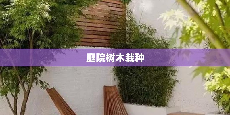 庭院树木栽种