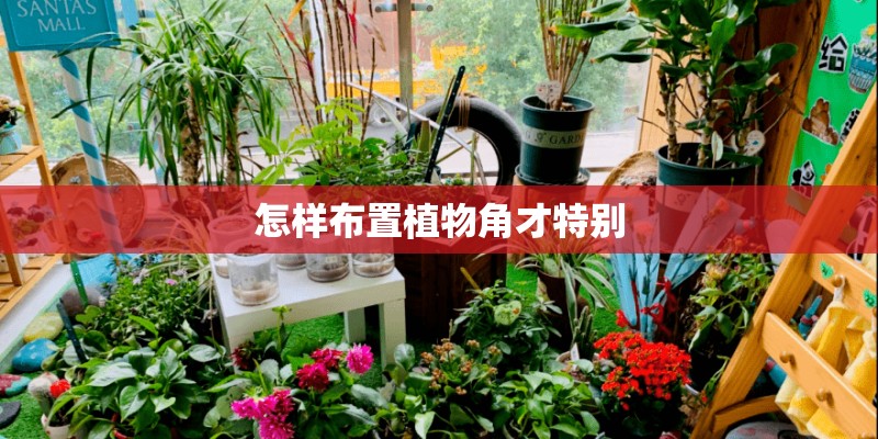 怎样布置植物角才特别