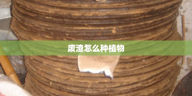 废渣怎么种植物