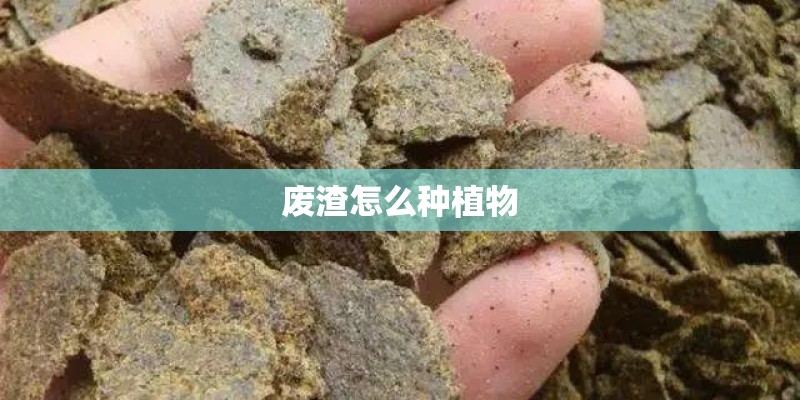 废渣怎么种植物