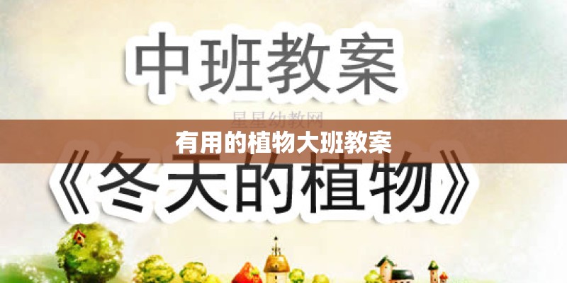 有用的植物大班教案