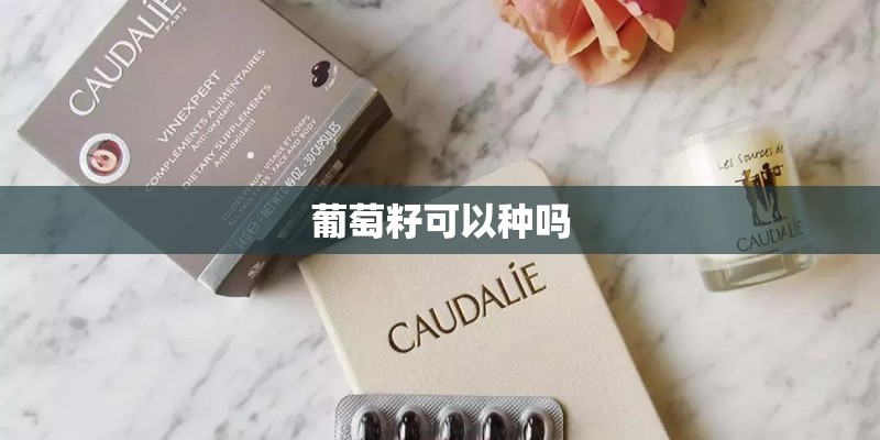 葡萄籽可以种吗