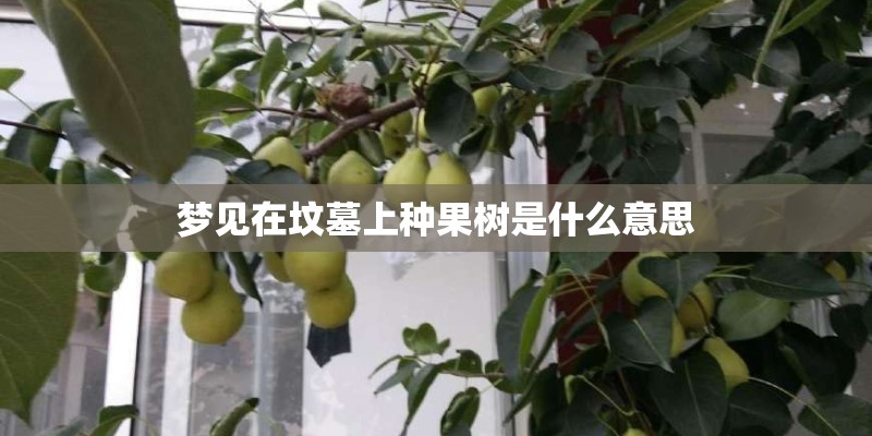 梦见在坟墓上种果树是什么意思