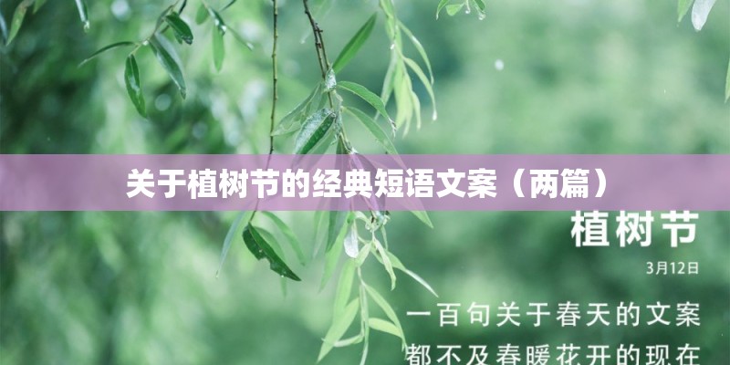 关于植树节的经典短语文案（两篇）