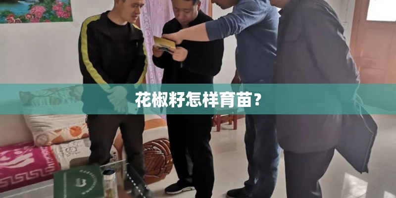 花椒籽怎样育苗？