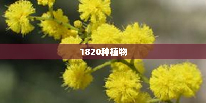 1820种植物