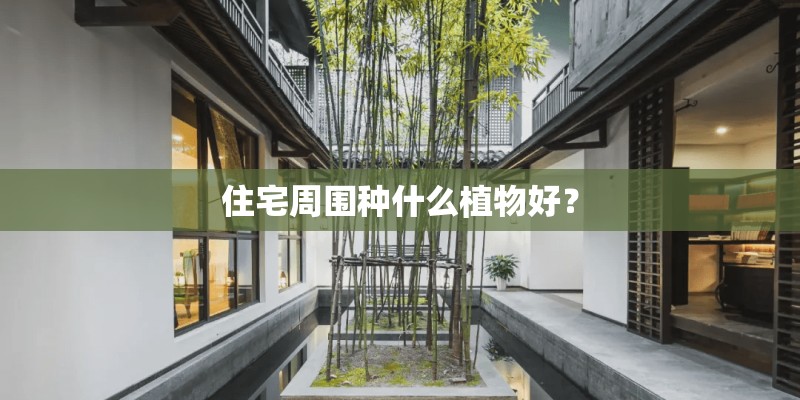 住宅周围种什么植物好？
