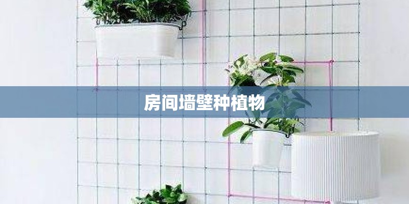 房间墙壁种植物