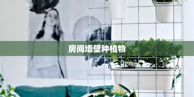 房间墙壁种植物