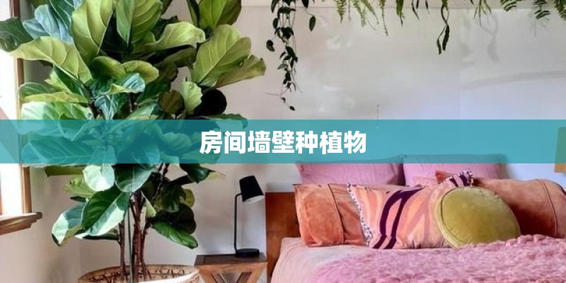 房间墙壁种植物