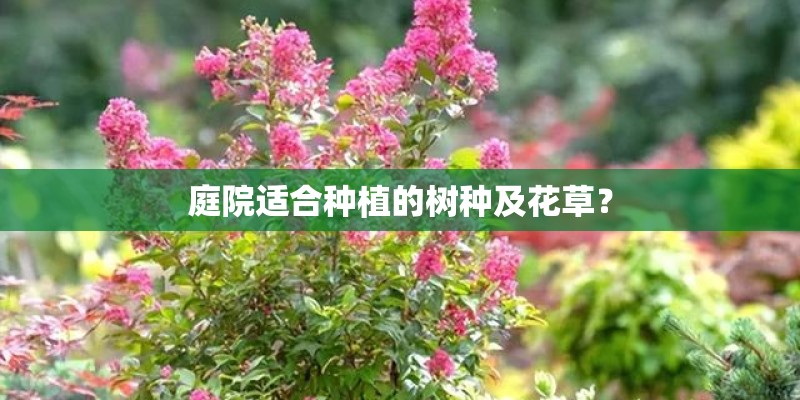庭院适合种植的树种及花草？