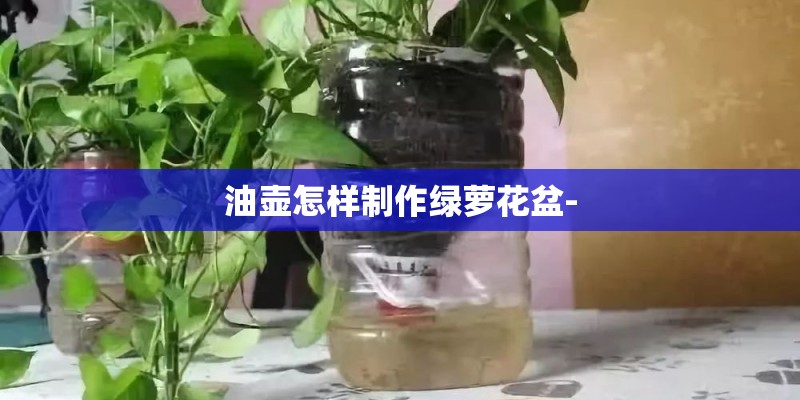 油壶怎样制作绿萝花盆-