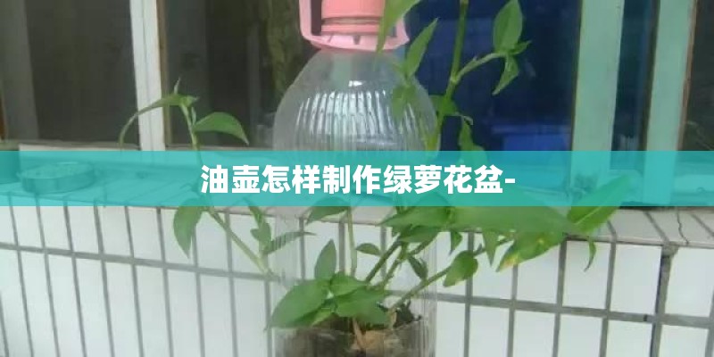 油壶怎样制作绿萝花盆- 油壶怎样制作绿萝花盆-