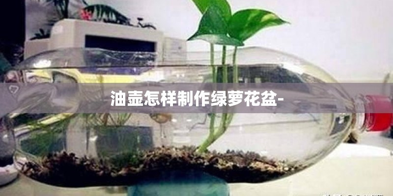 油壶怎样制作绿萝花盆- 油壶怎样制作绿萝花盆-