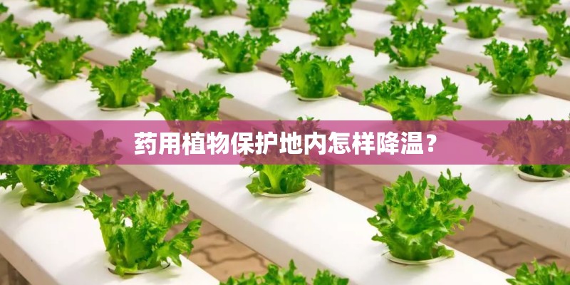 药用植物保护地内怎样降温? 药用植物保护地内怎样降温?