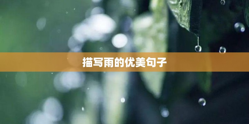 描写雨的优美句子
