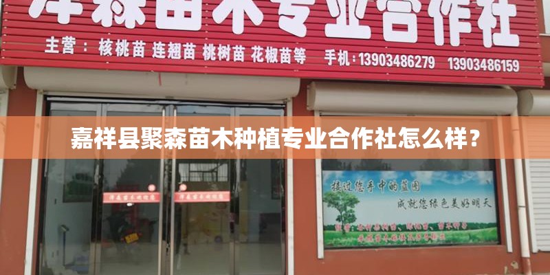 嘉祥县聚森苗木种植专业合作社怎么样？