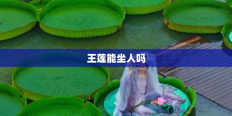 王莲能坐人吗