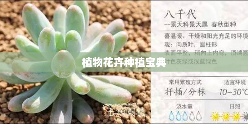 植物花卉种植宝典