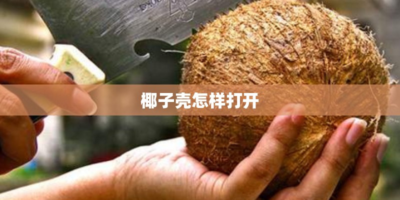 椰子壳怎样打开