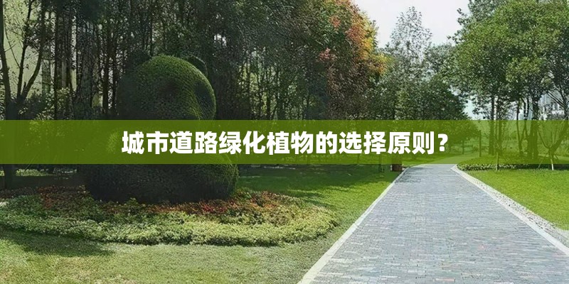 城市道路绿化植物的选择原则？