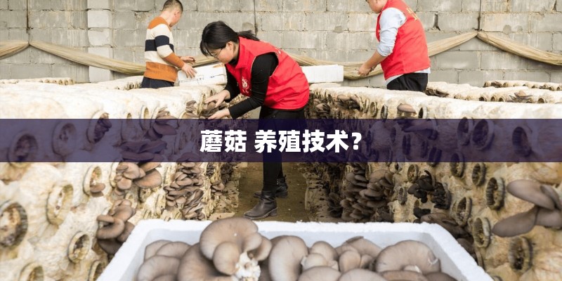 蘑菇 养殖技术？