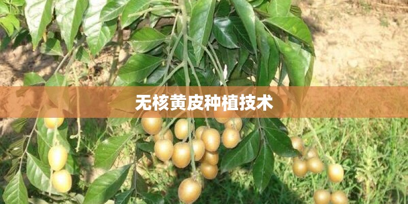 幼儿园植物角布置
