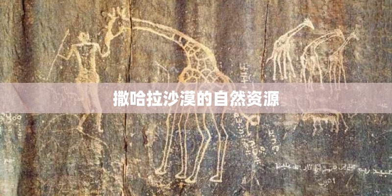 撒哈拉沙漠的自然资源