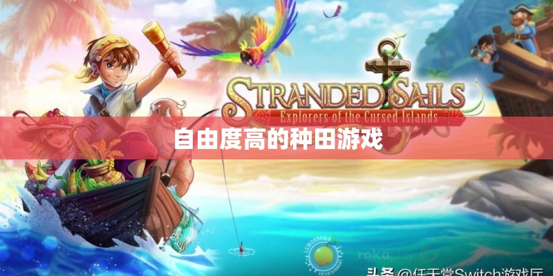 自由度高的种田游戏