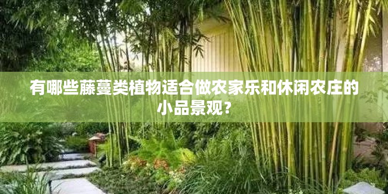 有哪些藤蔓类植物适合做农家乐和休闲农庄的小品景观？