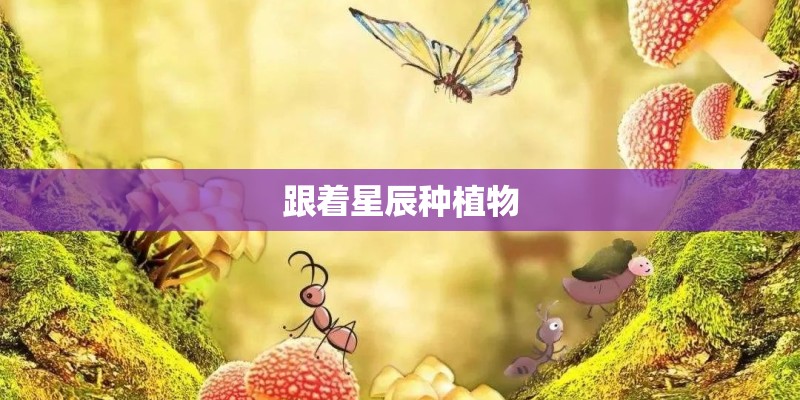 跟着星辰种植物
