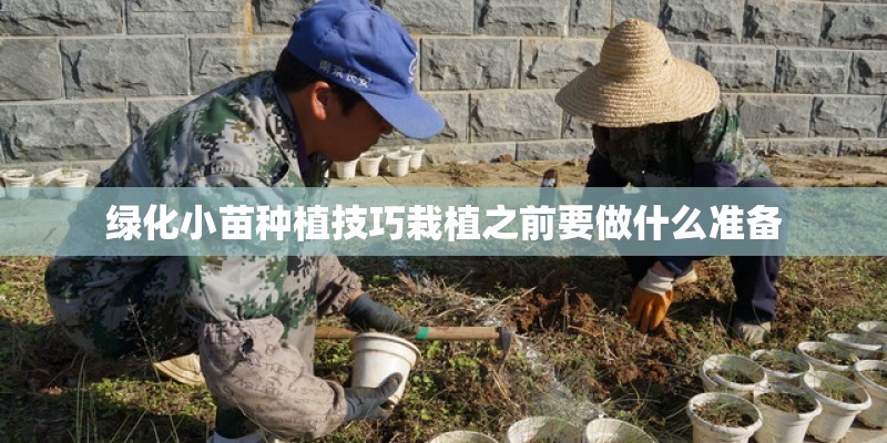 绿化小苗种植技巧栽植之前要做什么准备