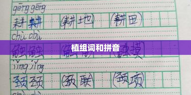 植组词和拼音