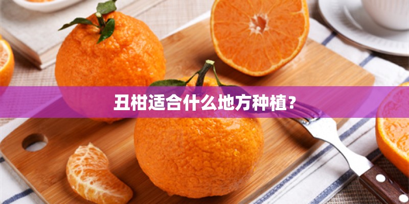 丑柑适合什么地方种植？