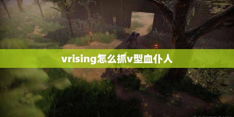 vrising怎么抓v型血仆人