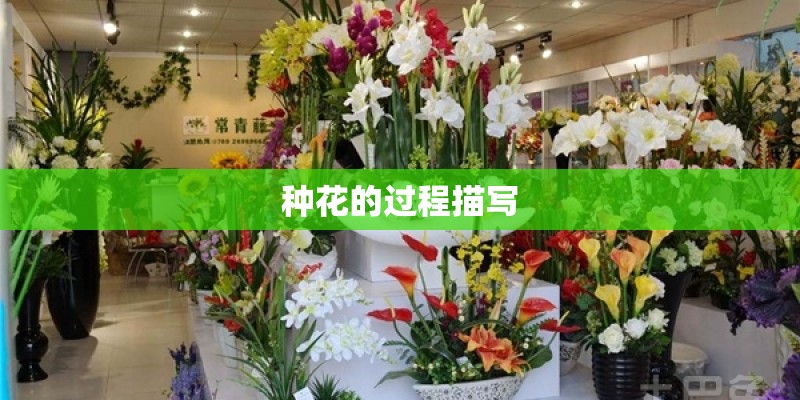 种花的过程描写
