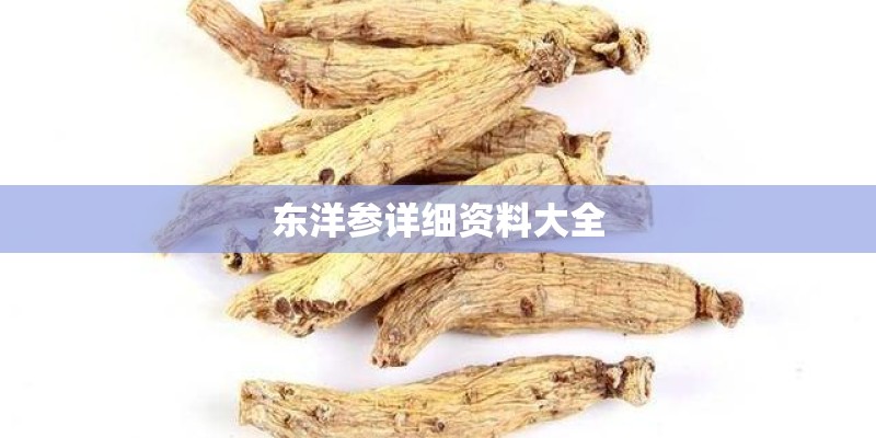 东洋参详细资料大全