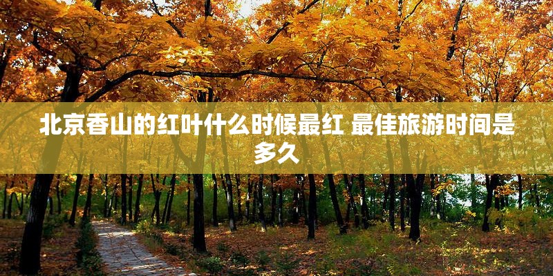 北京香山的红叶什么时候最红 最佳旅游时间是多久 北京香山的红叶什么时候最红 最佳旅游时间是多久