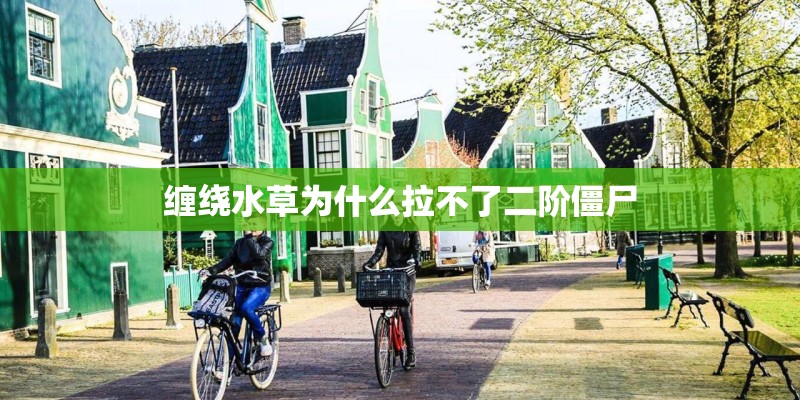 缠绕水草为什么拉不了二阶僵尸