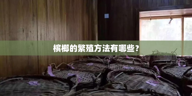 槟榔的繁殖方法有哪些？