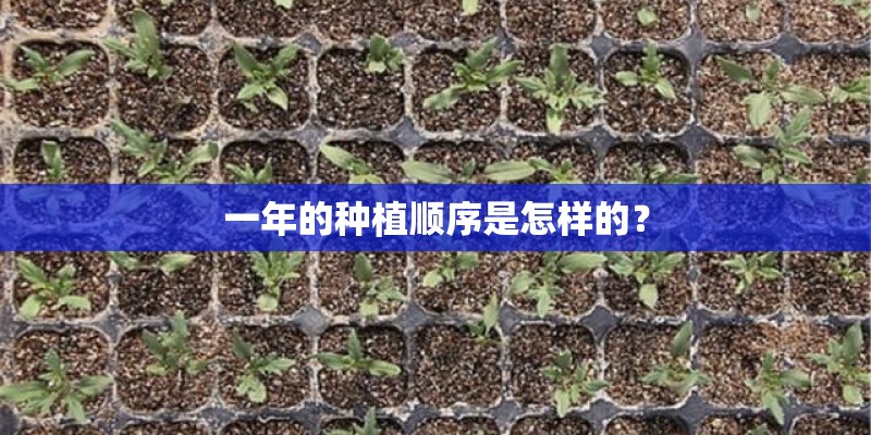 一年的种植顺序是怎样的？