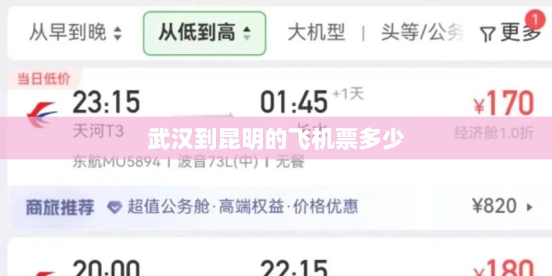 武汉到昆明的飞机票多少