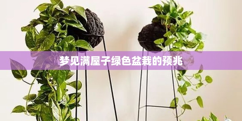 梦见满屋子绿色盆栽的预兆 梦见满屋子绿色盆栽的预兆