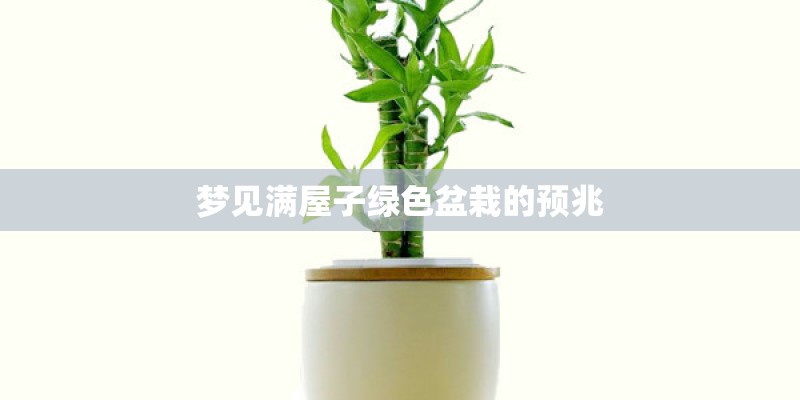 梦见满屋子绿色盆栽的预兆 梦见满屋子绿色盆栽的预兆