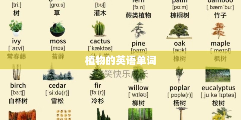 植物的英语单词