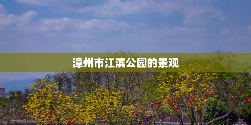 漳州市江滨公园的景观